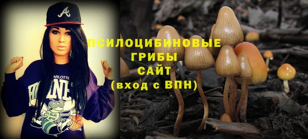 не бодяженный Переславль-Залесский