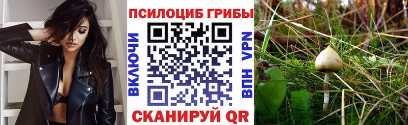 Галлюциногенные грибы GOLDEN TEACHER Чекалин