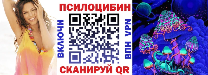 Псилоцибиновые грибы мицелий  купить наркотики цена  Чекалин 